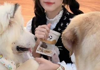 猜一猜，51吃瓜的最佳线路是哪个？有点小期待