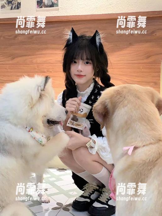 猜一猜，51吃瓜的最佳线路是哪个？有点小期待