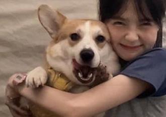 今日吃瓜网不再是“传送门”，究竟是哪颗瓜跑去哪里了？