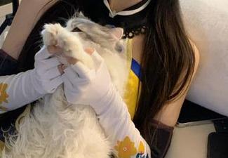 吃瓜网红导航：今天又有人被黑得体无完肤，快一起来瞧瞧！