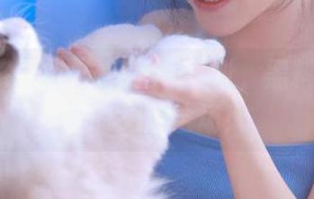 快来这家地址，黑料老司机带你嗨翻全场！