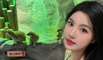 唉，黑瓜吃料苹果版，把我这日常的好奇心都调动得不行了！